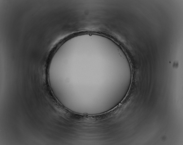 X0000101181214200807181440