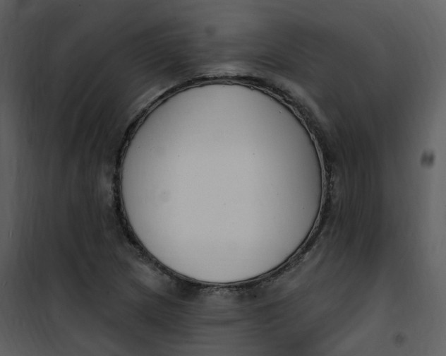 X0000101181217200807181440