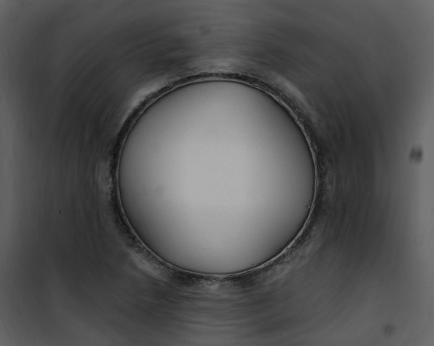 X0000101181218200807181440