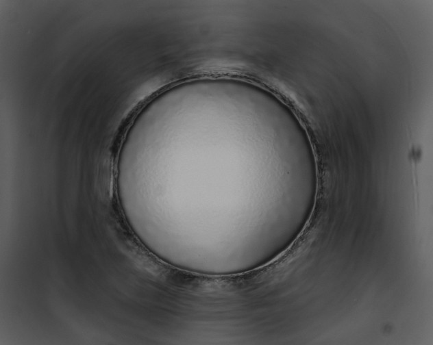 X0000101181219200807181440