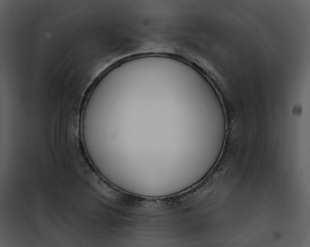 X0000101181220200807181440