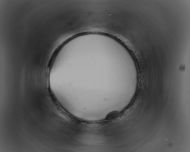 X0000101181223200807181440