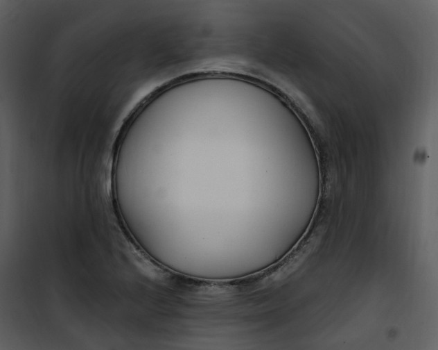 X0000101181224200807181440