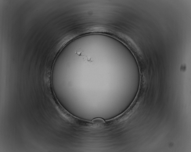 X0000101181225200807181440