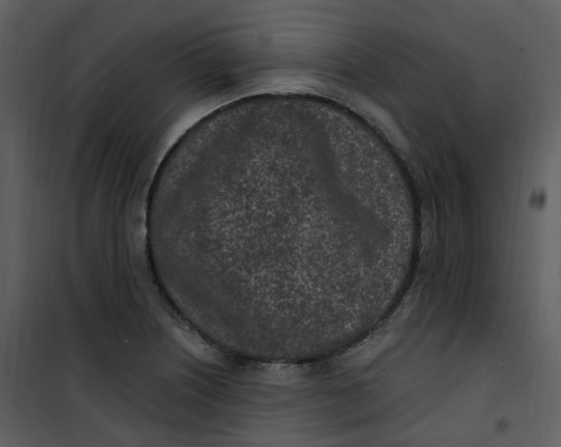 X0000101181226200807181440