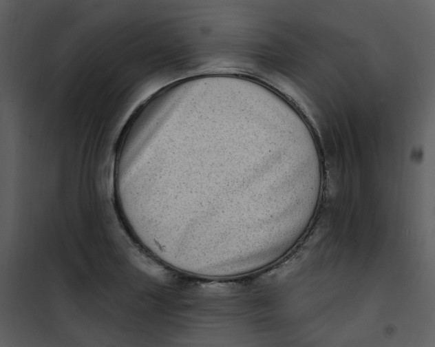 X0000101181227200807181440