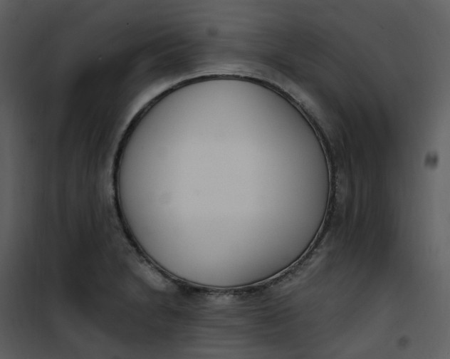 X0000101181230200807181440