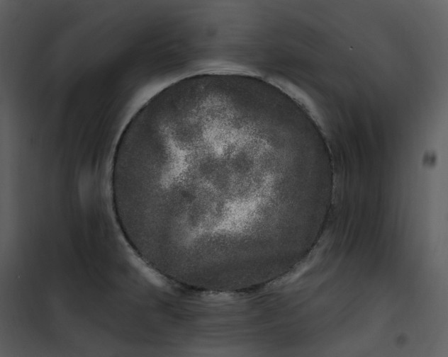 X0000101181231200807181440