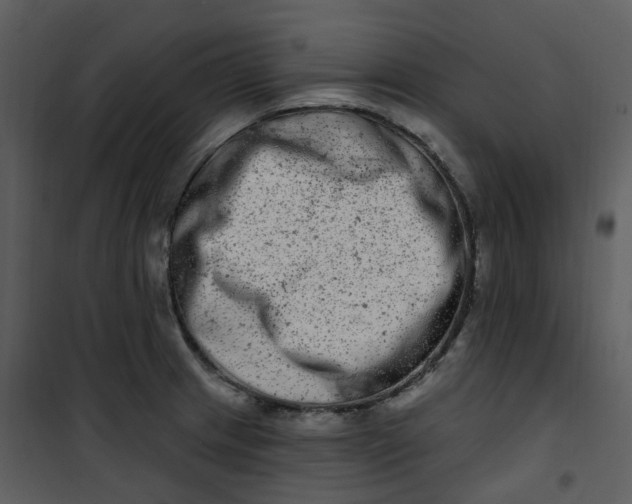 X0000101181233200807181440