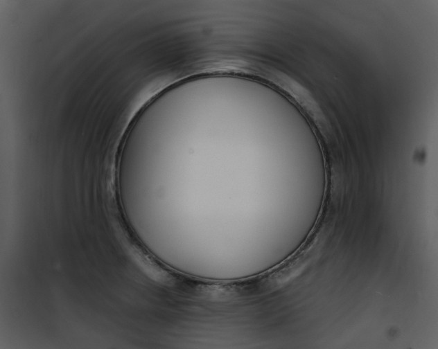 X0000101181234200807181440