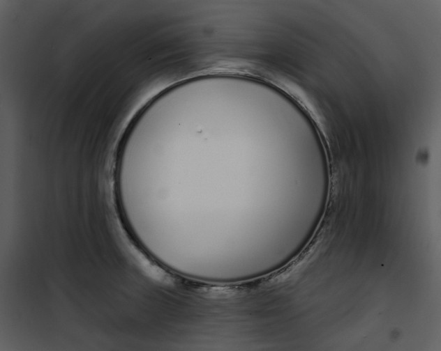 X0000101181235200807181440