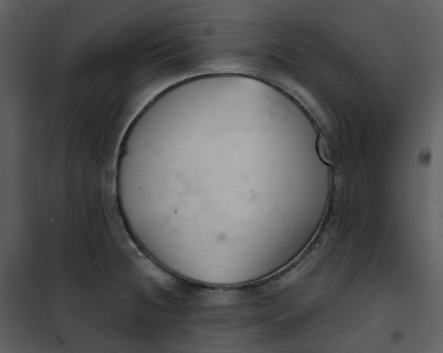 X0000101181236200807181440