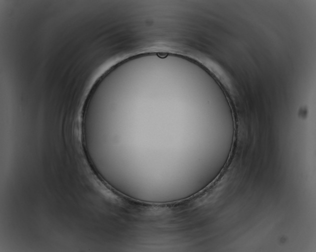 X0000101181238200807181440