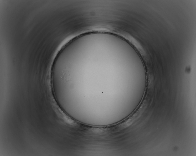 X0000101181240200807181440