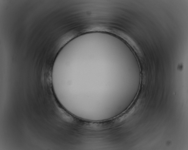 X0000101181241200807181440