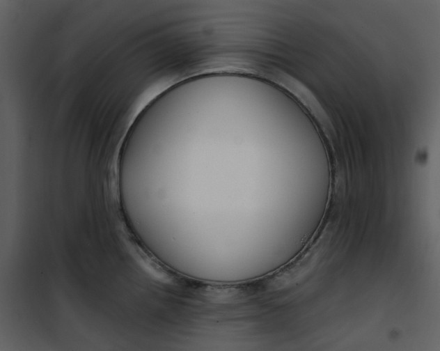 X0000101181242200807181440