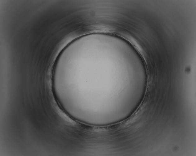 X0000101181243200807181440