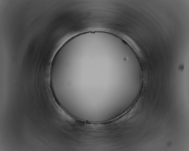 X0000101181244200807181440