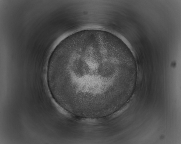 X0000101181245200807181440