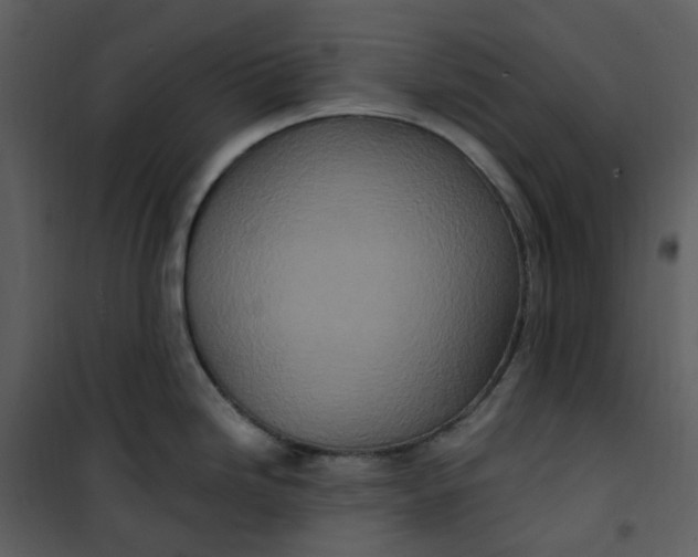 X0000101181246200807181440