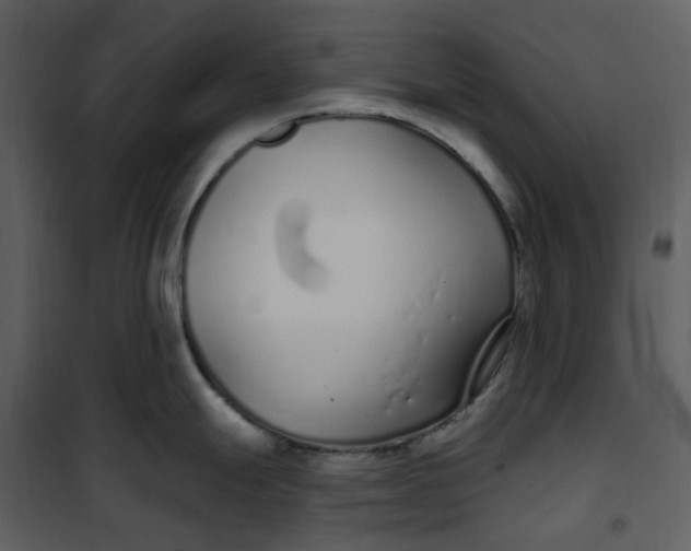 X0000101181247200807181440