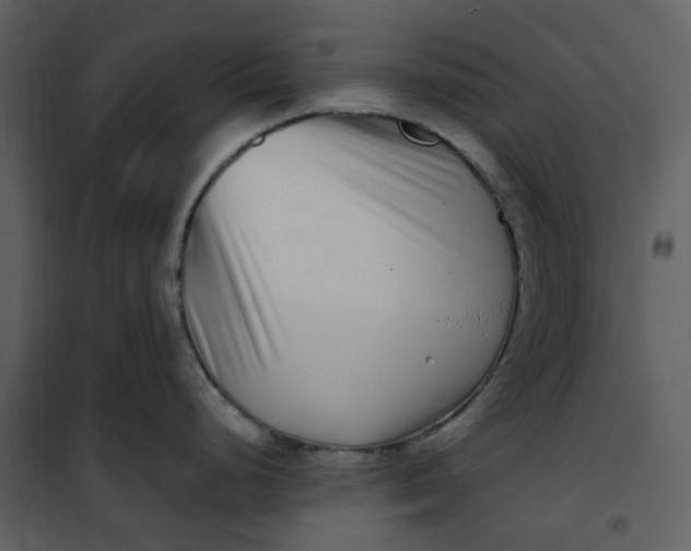 X0000101181248200807181440