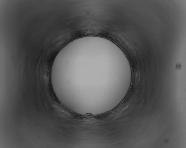 X0000101181250200807181439