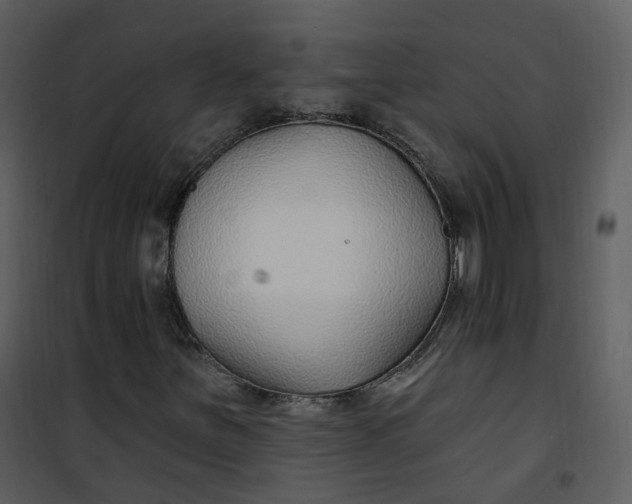 X0000101181251200807181439