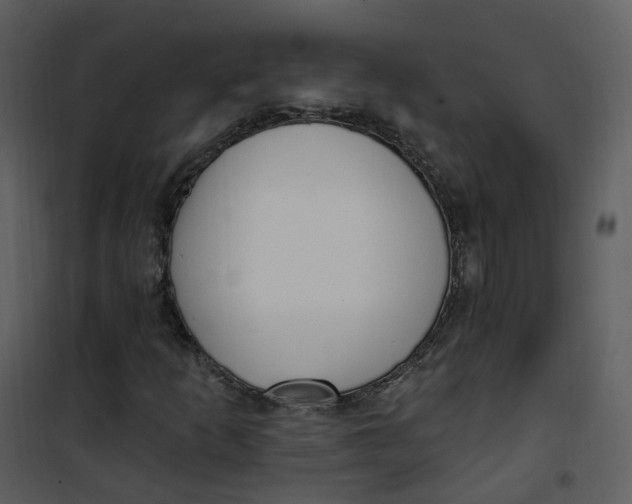 X0000101181253200807181439