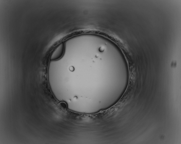 X0000101181255200807181439