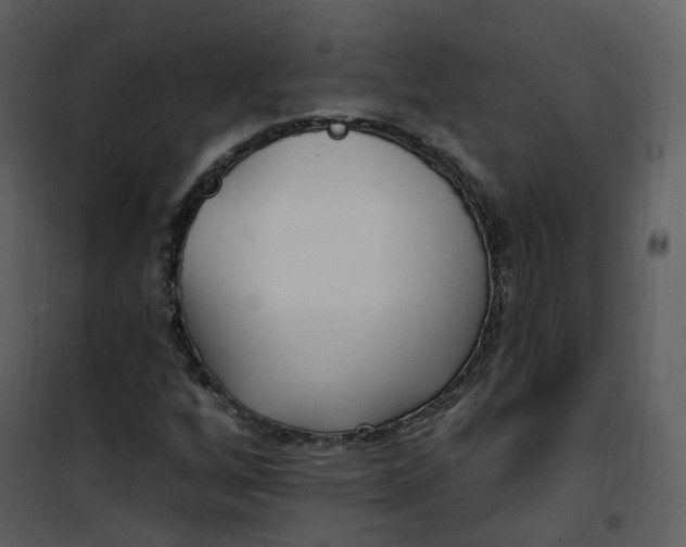 X0000101181256200807181439