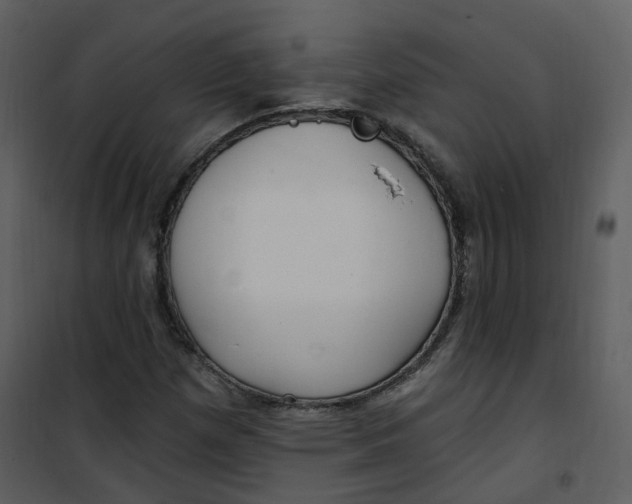 X0000101181257200807181439