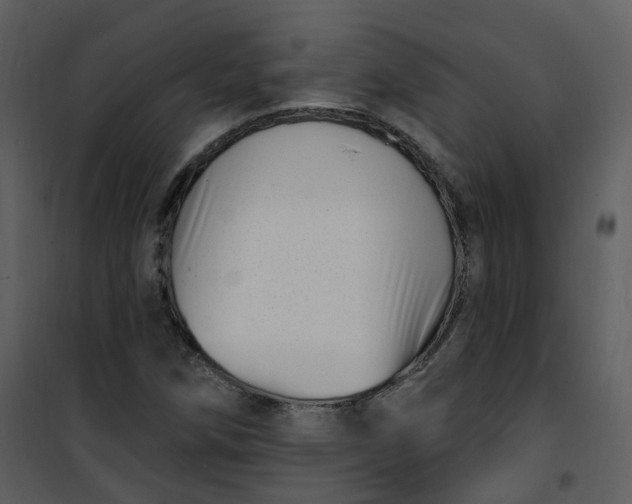 X0000101181258200807181439