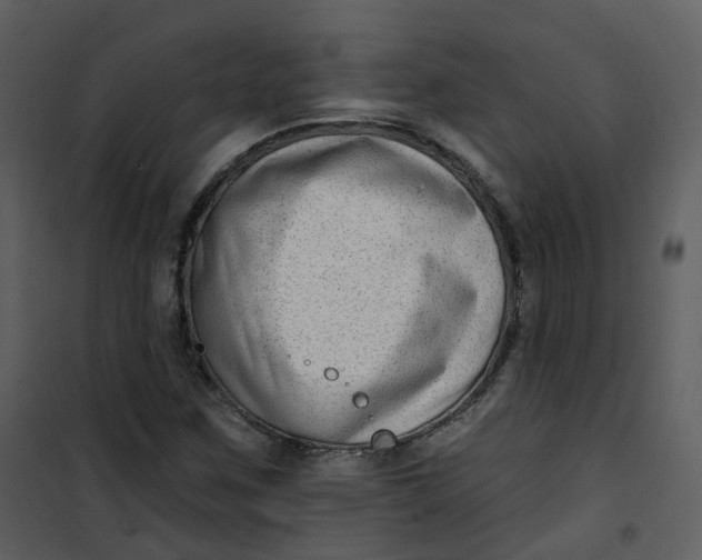 X0000101181259200807181439