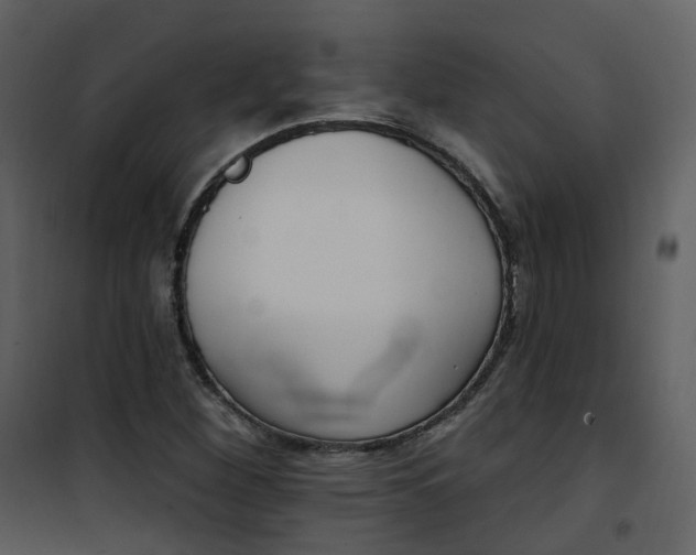 X0000101181260200807181439