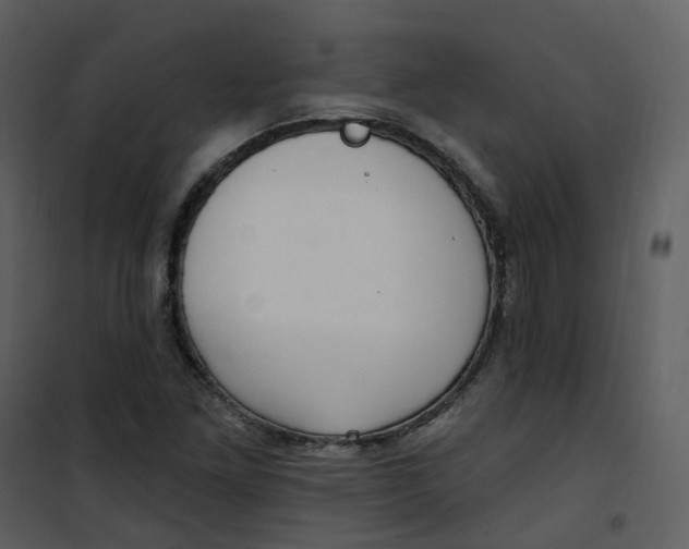 X0000101181261200807181439