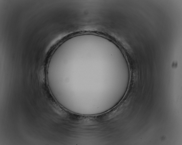 X0000101181262200807181439