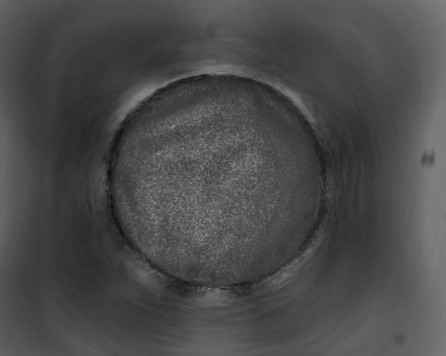 X0000101181263200807181439