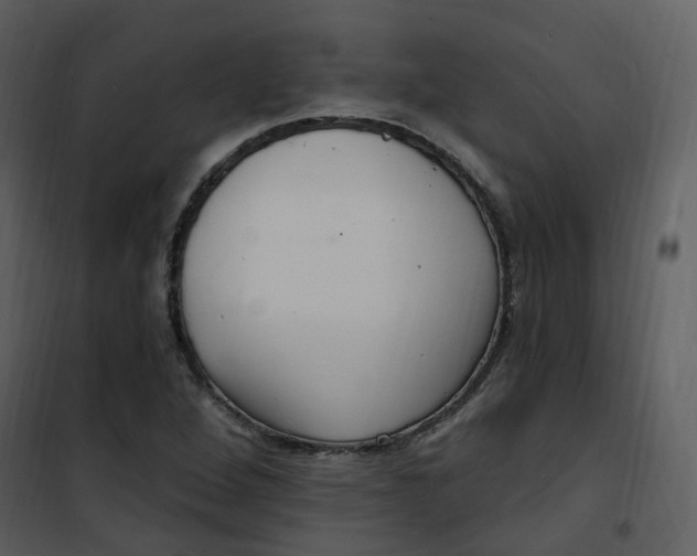 X0000101181264200807181439