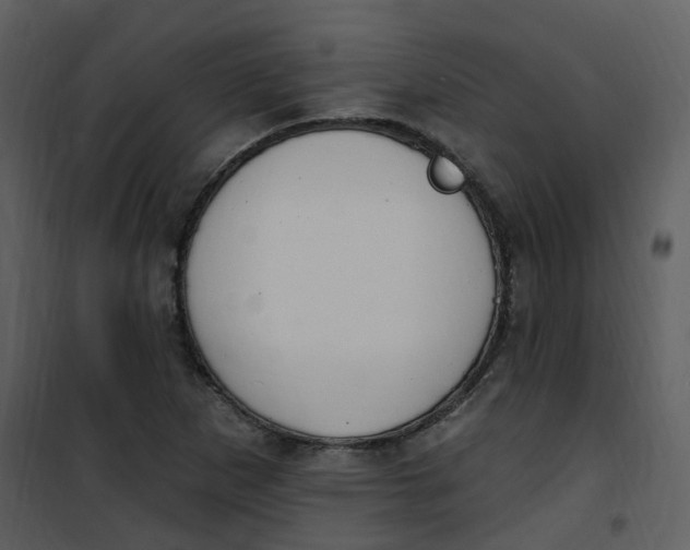 X0000101181265200807181439