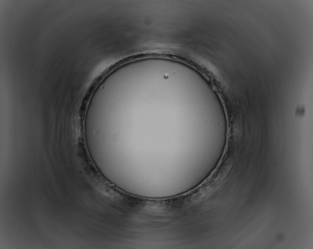 X0000101181267200807181439