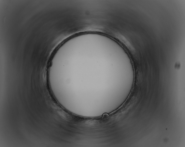 X0000101181268200807181439