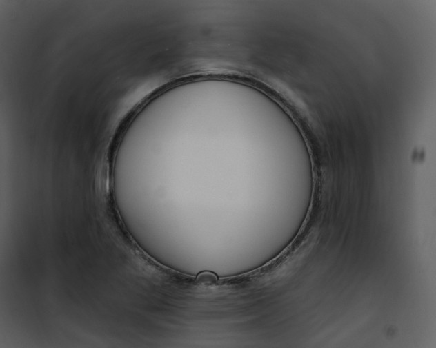 X0000101181269200807181439