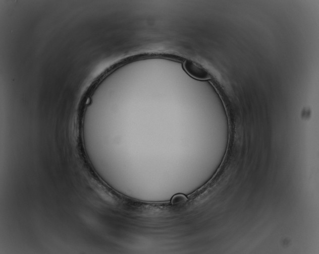 X0000101181270200807181439