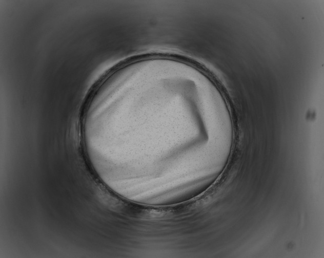 X0000101181271200807181439