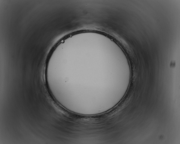 X0000101181272200807181439