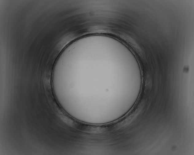 X0000101181273200807181439