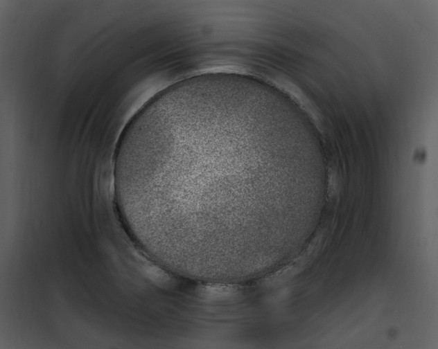 X0000101181274200807181439