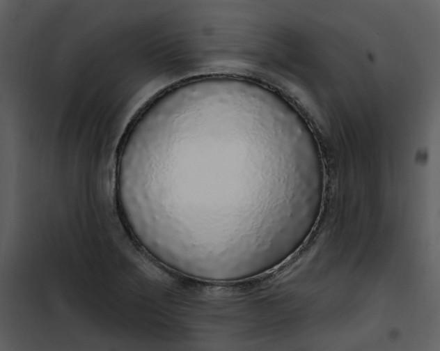 X0000101181275200807181439