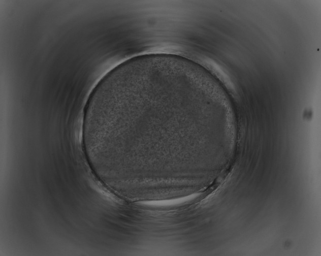 X0000101181276200807181439